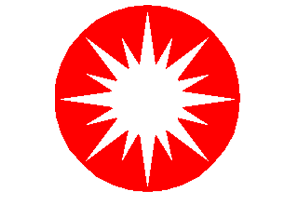 The Institute of Plasma Physics and Laser Microfusion